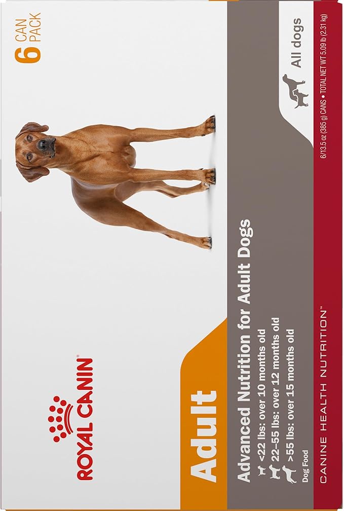 Royal Canin Canine Health Nutrition Adult In Gel Dog Food, 13.5 oz (Pack of 6)