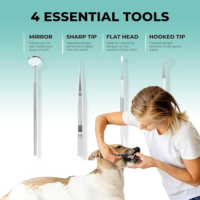 BRIGHT BITE™ | Ultrasonic Plaque Remover for Teeth | Dog Toothbrush; Cat Toothbrush | Quiet Tartar Remover | Dog Accessories | Teeth Cleaning Tools| Doggie Dental Scaler | Dental Tools | USB-C