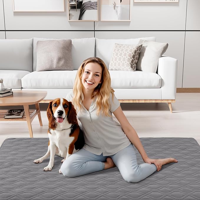 Smiry Waterproof Dog Blanket, 40x50 Inch Soft Pet Bed Cover Reversible, Washable Sofa Couch Furniture Protector for Small Medium Large Dog Puppy Cat, Grey/Dark Grey