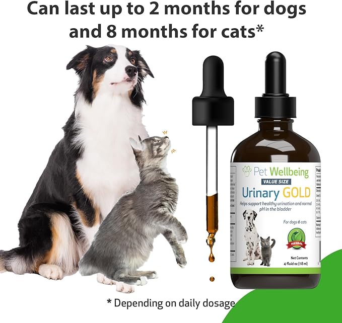 Pet Wellbeing Urinary Gold for Dogs - Supports Urinary Tract Health, Normal Frequency, Healthy Immune Response, Stoneroot, Hydrangea - Vet-Formulated Herbal Supplement 4 fl oz (118 ml)