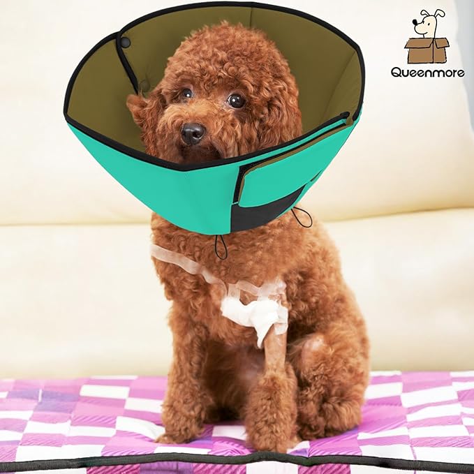 Queenmore Dog Cones for Small Dogs, Pet Cone for Dogs, Dog Cone Collar to Prevent Licking Wounds, Adjustable Comfy Cone for Dogs, Adjustable Elizabethan Collar for Pets, Green S