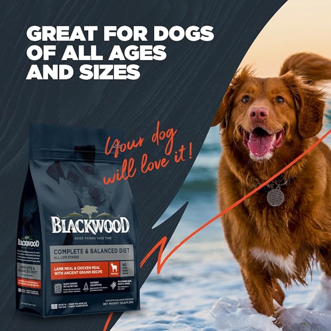 Blackwood Complete & Balanced Diet Dry Dog Food, Lamb Meal & Chicken Meal with Ancient Grains, 24 Pound Bag, Slow Cooked with Vitamins & Minerals