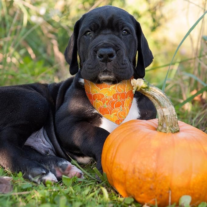 Newwiee 200 Pcs Fall Dog Bandanas Bulk Thanksgiving Bandanas for Dogs Pumpkin Bibs Triangle Handkerchief Adjustable Pet Scarf Thanksgiving Triangle Handkerchief Soft Dog Kerchief for Large Dogs