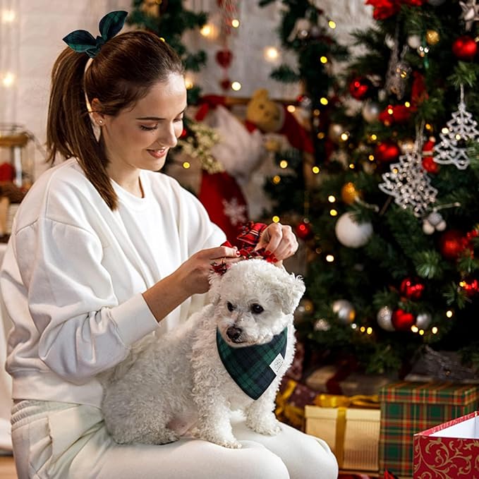E-Clover Christmas Dog Bandanas Boy & Matching Scrunchie Set Plaid Scarf Kerchief for Small Dog Puppy Bandana Pet Owner Blue Green Fall