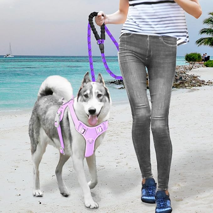 BARKBAY No Pull Dog Harness Large Reflective Dog Harness with Front Clip and Easy Control Handle for Walking Training Running with ID tag Pocket(Violet Purple,M)