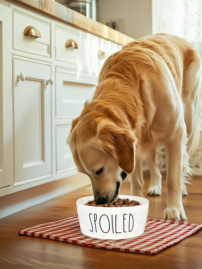 70OZ Ceramic Dog Bowl - 8'' Non-Slip Feeder for Medium & Large Dogs, Suitable for Dry & Wet Food, White, Microwave & Dishwasher Safe