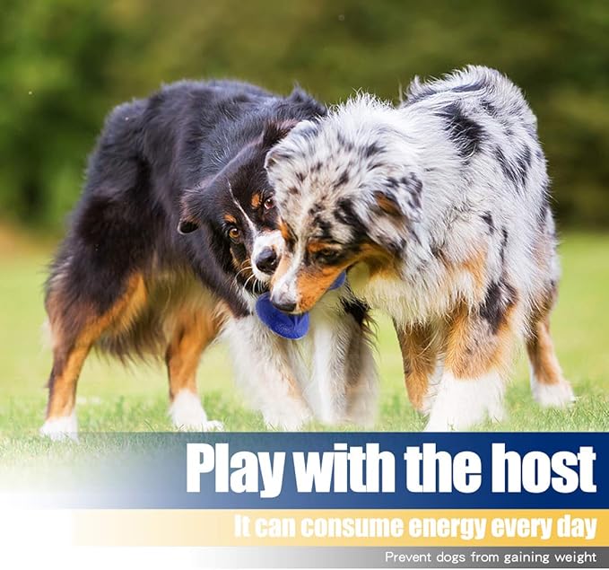 Rubber Dog Toys Treat Dispensing - Super Tough Treat Toys for Aggressive chewers Large Breed Durable Dog Toys IQ Training (Blue)