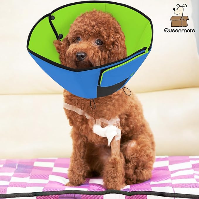 Queenmore Dog Cones for Medium Dogs, Soft Dog Cone Collar After Surgery, Pet Cone for Dogs Wound Care, Spay, Neuter, Breathable Pet Surgery Collars & Cones, Blue&Green M