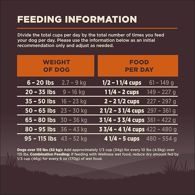 Wellness CORE Grain-Free High-Protein Dry Dog Food, Natural Ingredients, Made in USA with Real Meat, All Breeds, For Adult Dogs (Original Turkey & Chicken, 12-Pound Bag)