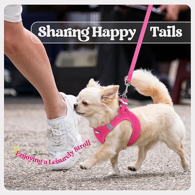 rabbitgoo Dog Harness Small Sized and Leash Set, Step in Soft Light Puppy Vest, Breathable Mesh Pet Harness, Reflective for Safe Easy Walking, Rose Red S