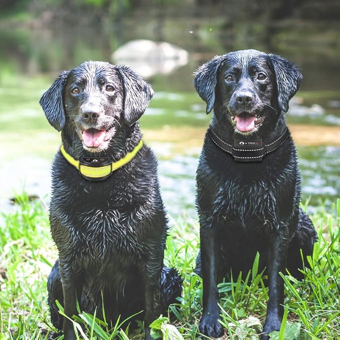 Paipaitek Collar Replacement Strap Compatible with Patpet, Garmin, Dogtra, Petrainer, Dog Care, Sportdog Field Trainer, Trainpro Dog Training Collar Receiver