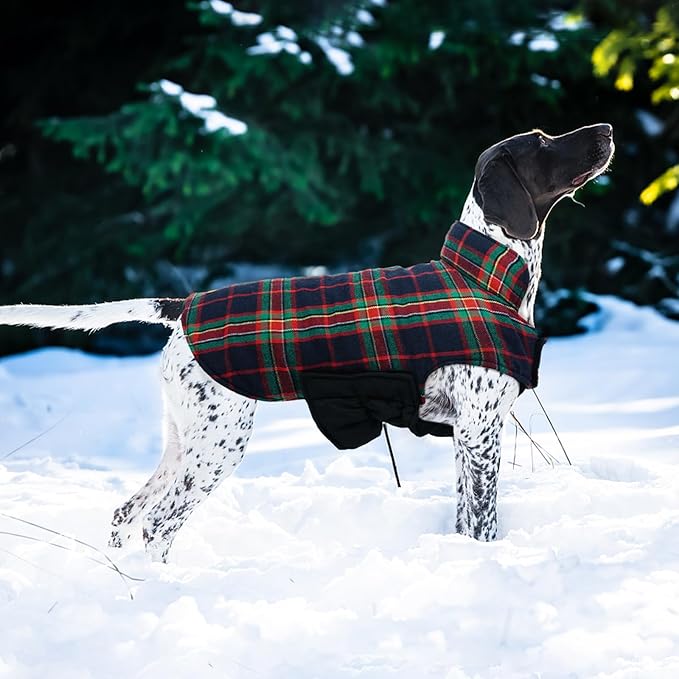 Kuoser Warm Dog Coat, Waterproof Dog Coats for X-Small Dogs, Adjustable Durable Doggie Winter Jacket Reversible Cozy Puppy Cold Weather Apparel from Small to Large Breed, RoyalBlue XS