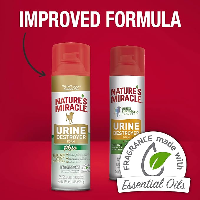 Nature's Miracle Urine Destroyer Plus for Dogs, Enzymatic Formula for Severe Dog Urine Stains, 17.5 oz