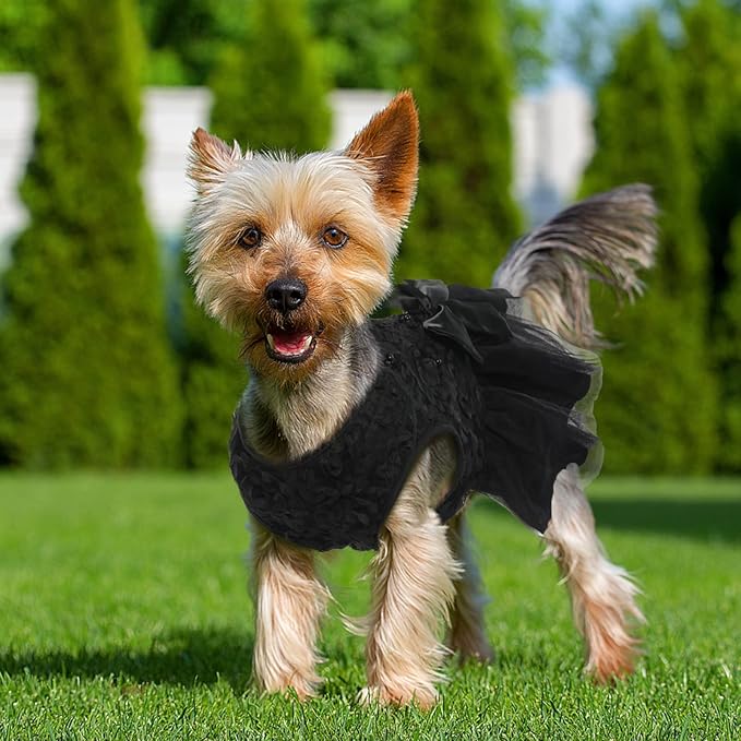 QBLEEV Dog Dress, Dog Wedding Dress for Medium Dogs, Bowknot Dog Wedding Attire Pet Dog Bride Costume Sweet Dog Formal Dress Lace Tutu Skirt Christmas Dog Princess Dress Puppy Dog Flower Girl Dress L