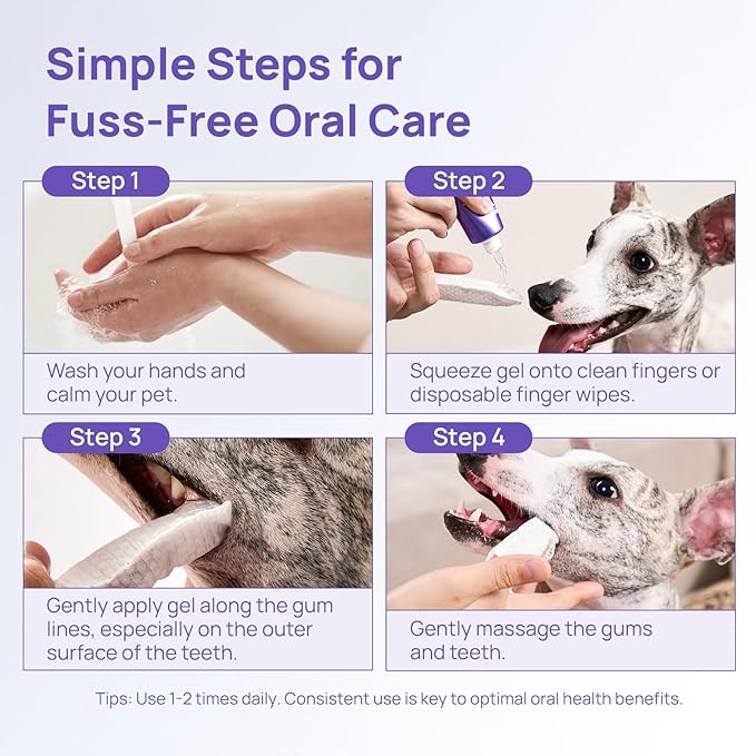 HICC PET Teeth Cleaning Gel for Dogs and Cats, Vet-Recommended Dog Dental Care Toothpaste Alternative for Breath Freshener, Ggingivitis Treatment, Prevent Infection, Plaque & Tartar Remover, 2 Fl Oz