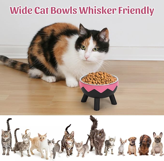 Raised Cat Food Bowls, Cute Cat Feeding Bowls for Food/Water Elevated with Non-Slip Stand, Detachable Anti Vomiting Stainless Steel Pet Bowl for Kitten, Puppies, Small Dogs Indoor/Outdoor
