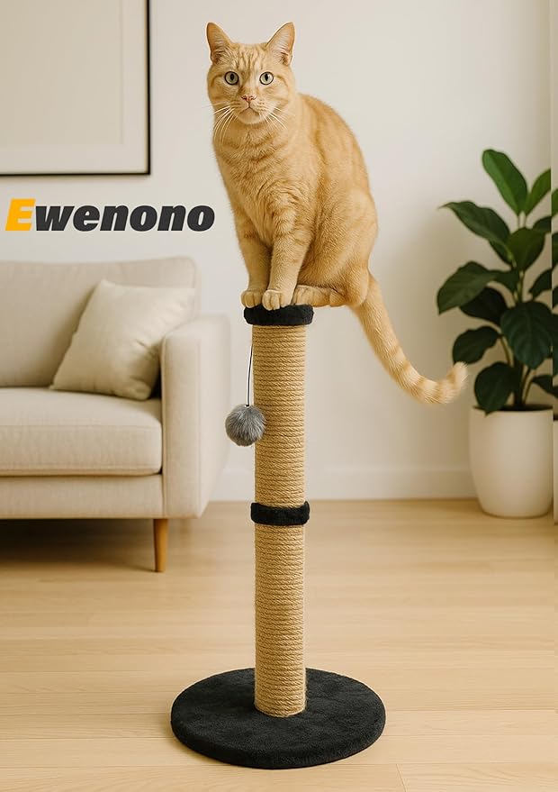 34inches Tall Cat Scratching Post with Plush Base Cat Scratcher for Indoor Cat with Natural Sisal Rope, Black Round Platform,Have 4 Replacement Pendant