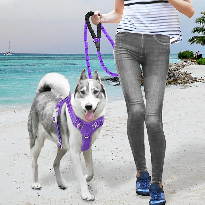 BARKBAY No Pull Dog Harness Large Reflective Dog Harness with Front Clip and Easy Control Handle for Walking Training Running with ID tag Pocket(Purple,S)