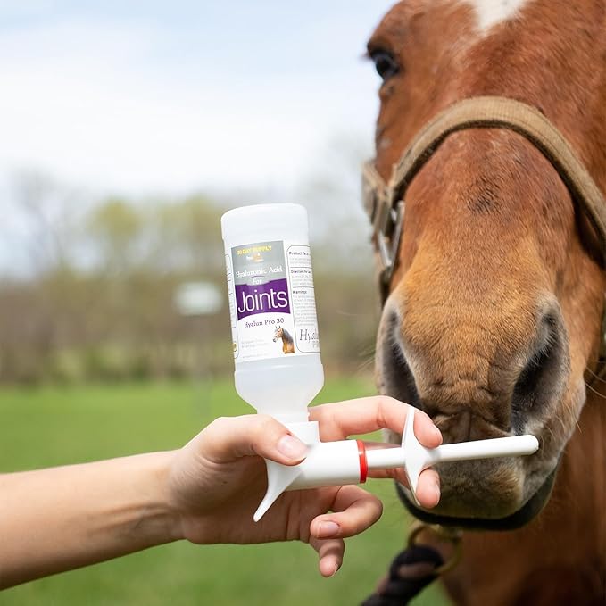 Hyalogic Hyaluronic Acid for Horses 90 Day Supply - 9oz - Easy Oral Tip Dispenser - Liquid HA Supplement for Equine Cartilage Support - Hyalun Pro - 9 oz / 296ml
