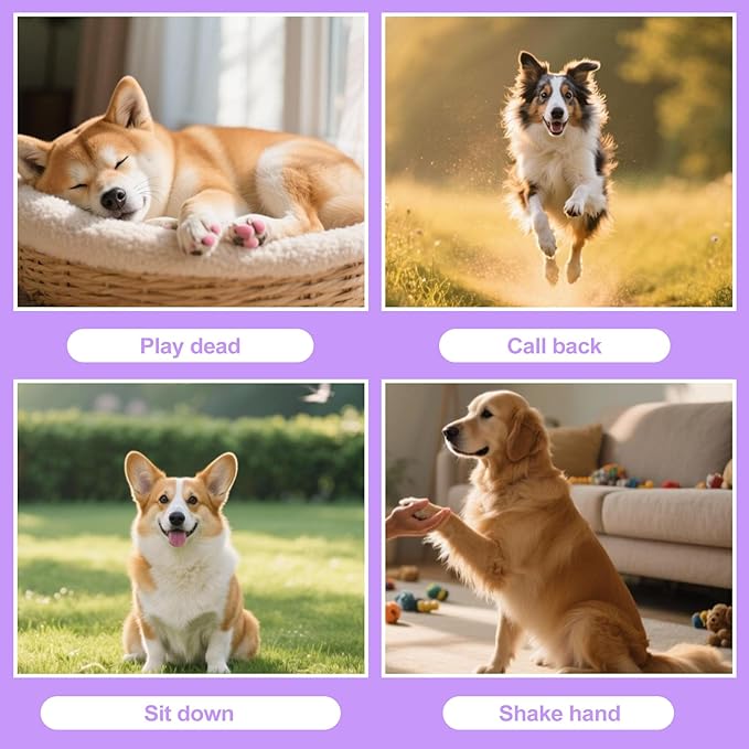 2 Pack Dog Whistle for Barking Control & Recall Training - Adjustable Ultrasonic Silent Whistle with Lanyard for All Dogs, Professional Pet Whistle Neighbor Dog Solution & Deaf Pet Aid