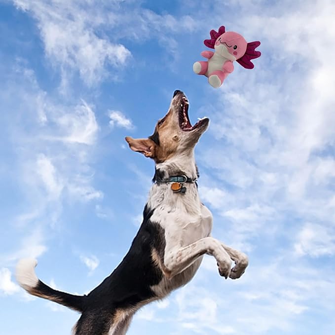 Blnboimrun Squeaky Dog Toys for Aggressive Chewers, Interactive Puppy Toys with Squeaker & Crinkle Paper, Double Layer Durable Plush Axolotl for Small Medium Large Dogs Indoor Outdoor Play