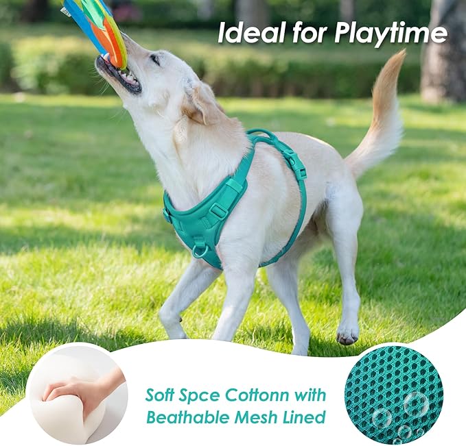 No Pull Dog Harness, Puppy Vest with Front Clip for Small Medium Large Sized Dog(MARRS Green,L)