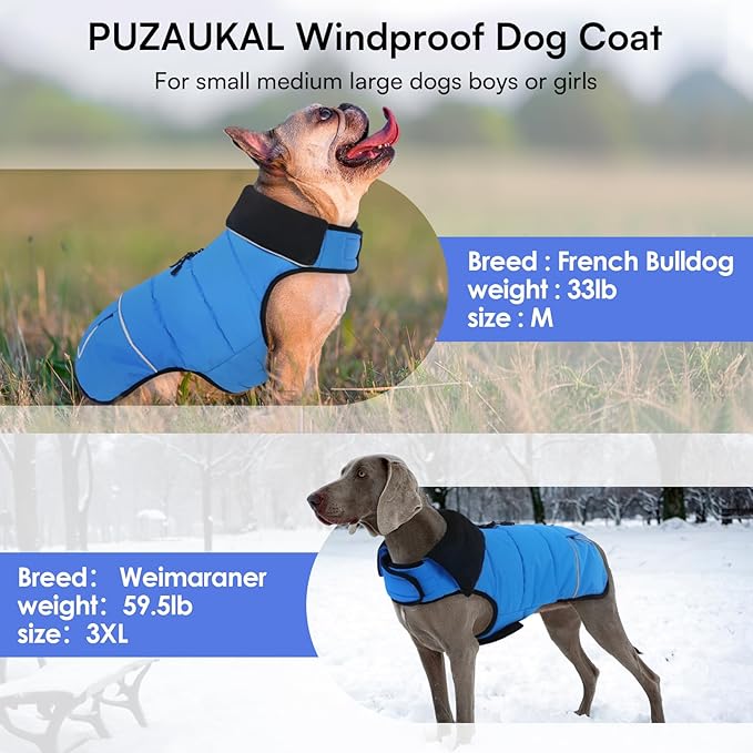 Dog Coat, Small Dog Jacket, Windproof Dogs Puffer Jacket, Fleece Lined Warm Dogs Winter Coat with Harness Hole (Blue S)