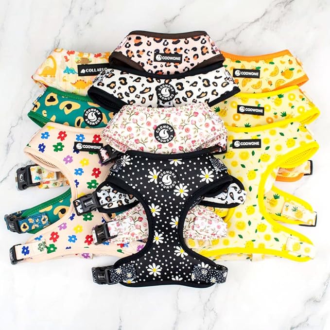 Dog Harness and Leash Set, Adjustable Dog Harness, Dog Leash, No Pull No Choke Puppy Harnesses for Walking Training for Small Medium Pet