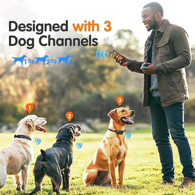 2000ft Range Wireless Dog Fence with Collar, Electric Training Collar with Remote, Dog Training Collar