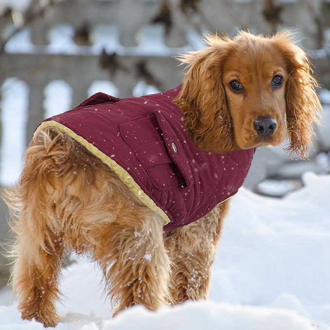 Queenmore Dog Winter Coat Warm Puffer Jacket Waterproof Plush Lining Thermal Cold Weather Vest for Small Medium Large Dogs, Windproof Easy On Pet Jacket Burgundy S
