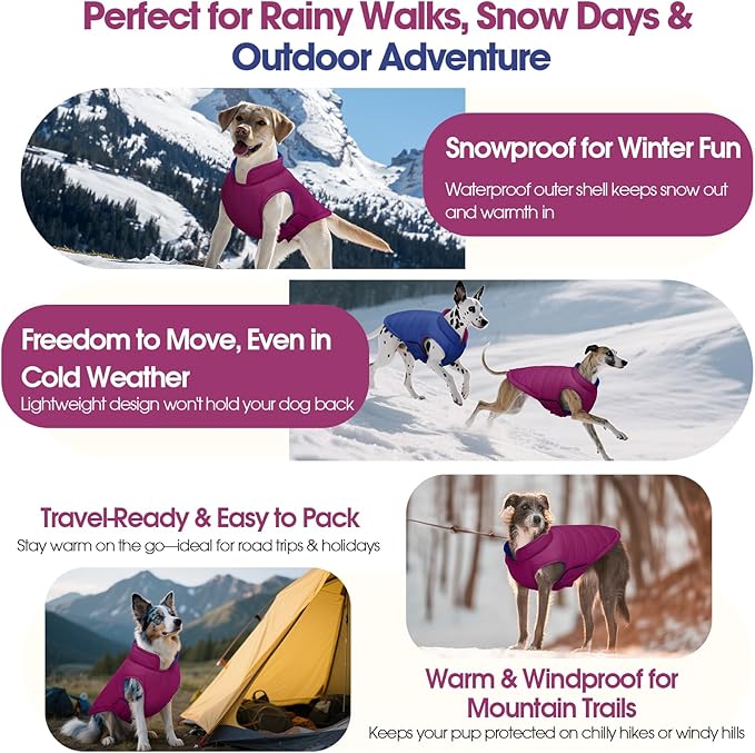 QBLEEV Reversible Dog Winter Coat, Warm Snowproof Dog Puffer Jacket for Large Dogs Cold Weather, Windproof Lightweight Padded Vest Snowsuit, 2-in-1 Adjustable Outdoor Clothes for Boxer, Violet, XXL