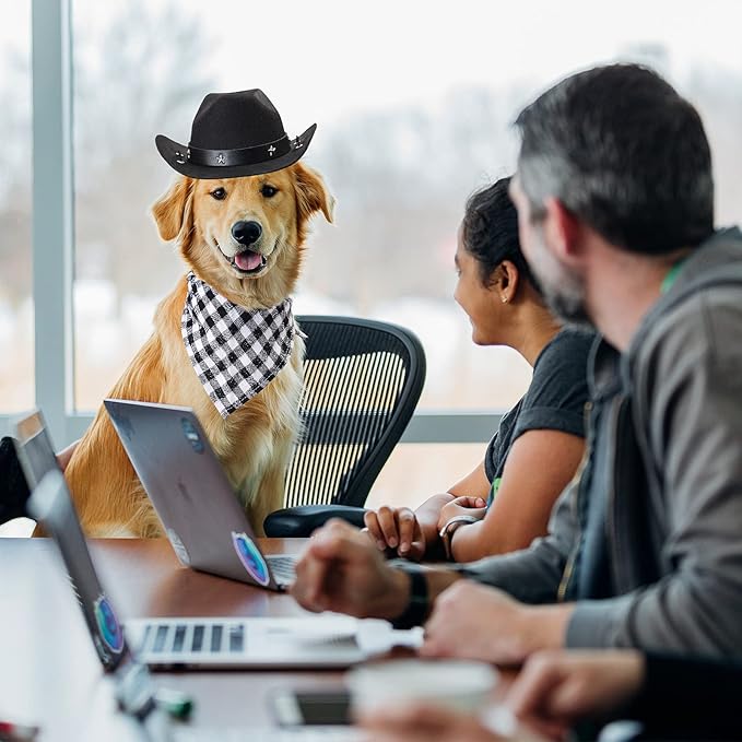 Yewong Pet Cowboy Costume Accessories Dog Cat Pet Size Cowboy Hat and Bandana Scarf West Cowboy Accessories for Puppy Kitten Party Festival and Daily Wearing Set of (Black hat+Black bib)