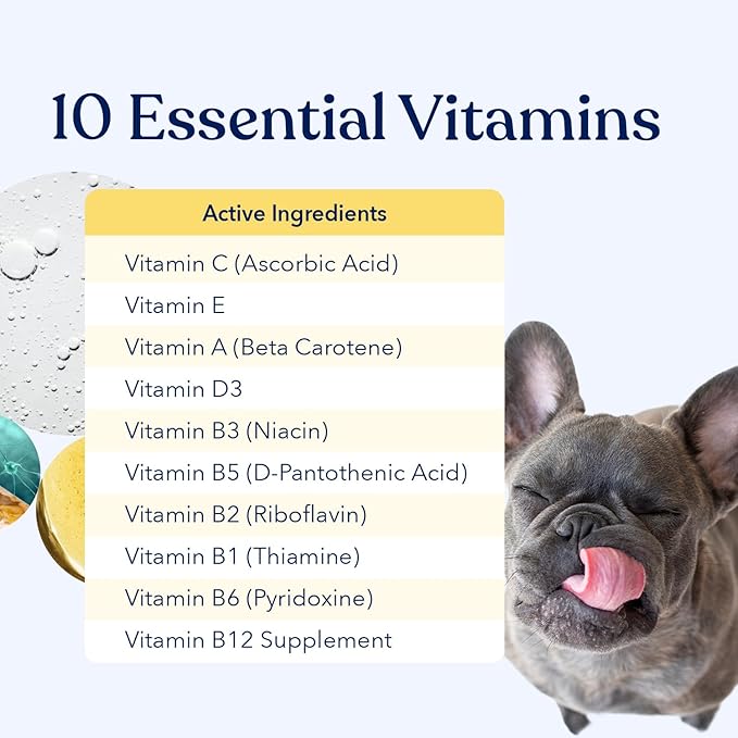 Honest Paws (90 Count) Dog Multivitamin Soft Chews with 10 Essential Vitamins - Joint, Coat, Immune, Eye & Heart Support - with Glucosamine, Chondroitin & Omega-3 - Beef Flavor