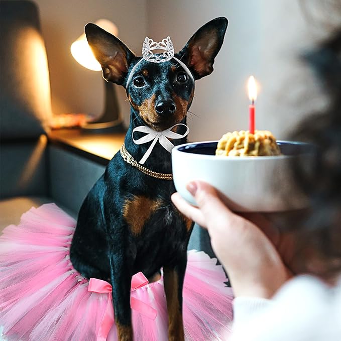 2 Pcs Dog Crown Headband Dog Tutu Dress Set Crystal Rhinestone Tiara Crown Tutu Skirt Pet Dress Costume for Puppy Birthday Party Wedding Photo Prop Costume(Medium,Rose Red, White)