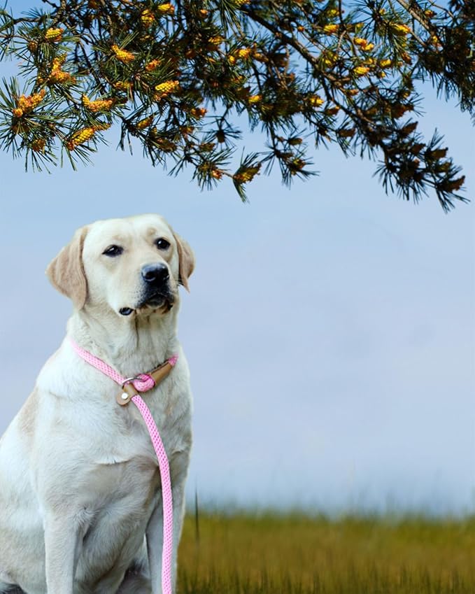 lynxking Slip Lead Dog Leash, 8 FT x 1/2" Heavy Duty Dog Loop Leashes, Comfortable Strong Rope Slip Leash for Dogs