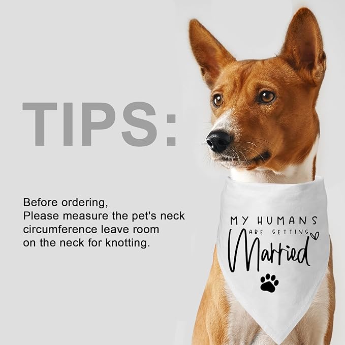 My Parents are Getting me a Human, Pregnancy Announcement Dog Bandana, Gender Reveal Photo Prop Pet Scarf Accessories,Pet Accessories for Dog Lovers (My Humans are Getting Married)