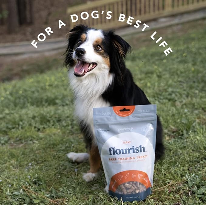 Flourish Pets Freeze Dried Raw Pet Treats for Dogs (Beef Training Treat, Regular)