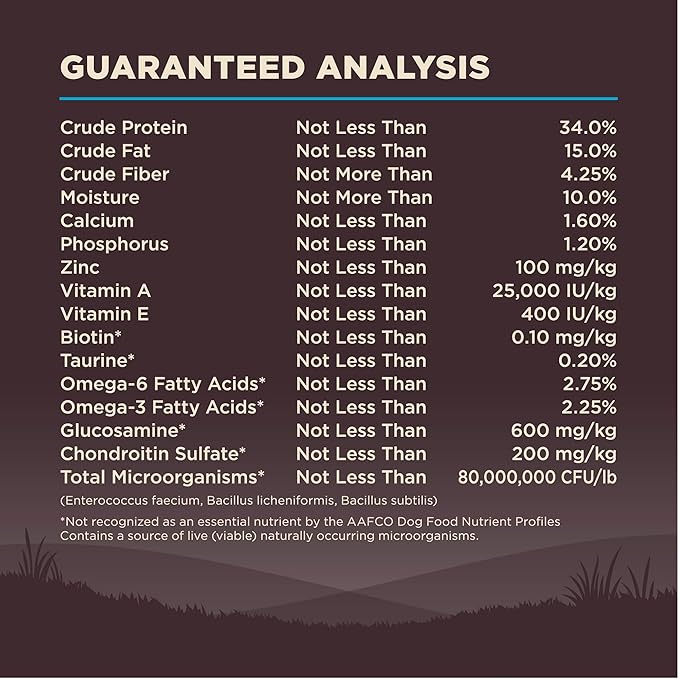 Wellness Natural Pet Food Wellness CORE Wholesome Grains Ocean Recipe, 22 Pound Bag