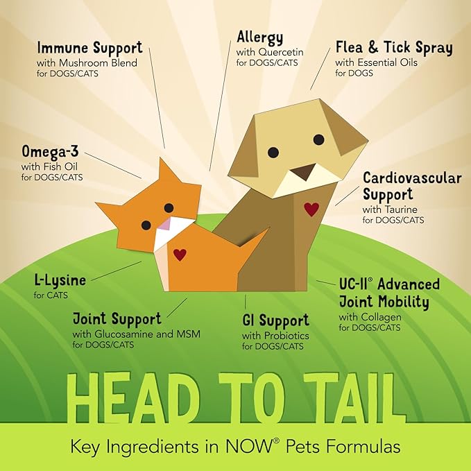 NOW Pet Health, L-Lysine Supplement, Powder, Formulated for Cats, NASC Certified, 8-Ounce