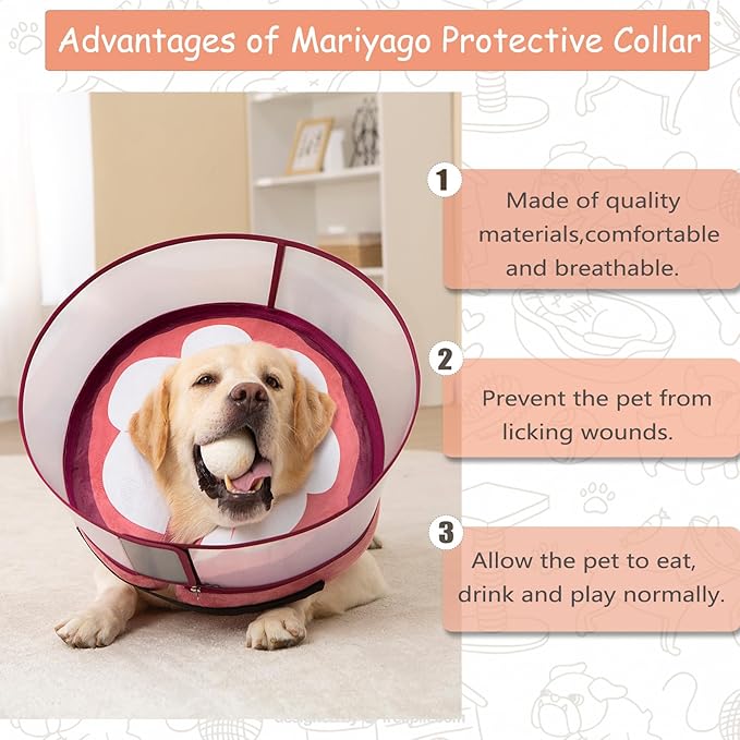 Inflatable Dog Cone Collar for Large Medium Small Dogs, Soft Dog Donut Collar Adjustable Recovery Cone for Pets After Surgery, Extra Enhanced Anti-Licking Guard Shield (Mangosteen, Large)