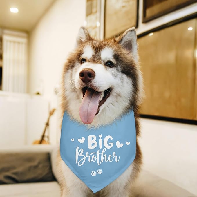Big Brother Dogs Bandana Baby Announcement Blue Dog Bandana Pregnancy Announcement Photo Prop Pet Scarf Accessories for Pet Dog Lovers Gifts