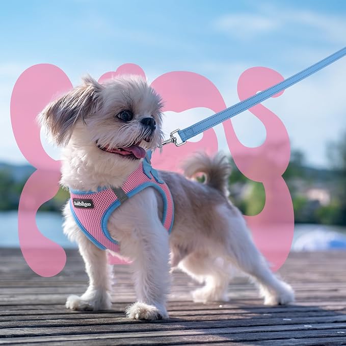 rabbitgoo Dog Harness Small Sized and Leash Set, Step-in Breathable Pet Harness, Soft Walking Reflective Puppy Vest for Small Dogs, Pink & Light Blue, XS