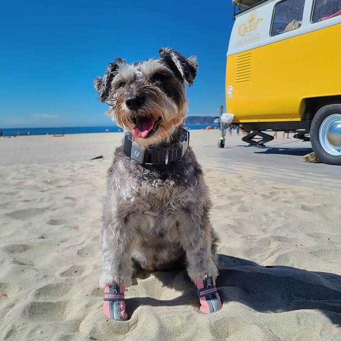 QUMY Dog Shoes for Small Dogs, Puppy Dog Boots & Paw Protectors for Winter Snowy Day, Summer Hot Pavement, Waterproof in Rainy Weather, Ourdoor Walking, Indoor Hardfloors Skid-Resistant Sole Pink 3