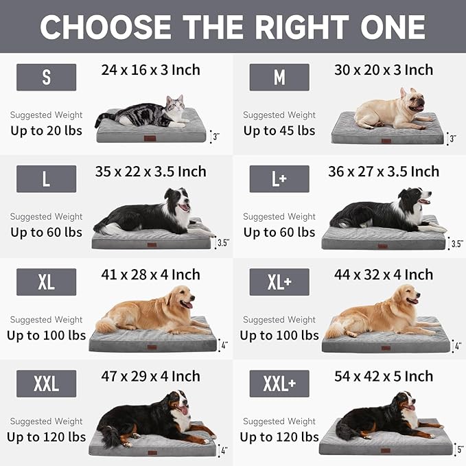 OhGeni Orthopedic Waterproof & Machine Washable Dog Bed for Small Pets, Suitable for Crates, Cat Mat with 25D Egg Crate Foam, Non-Slip Bottom & Removable Cover, 24 Inches(Gray)