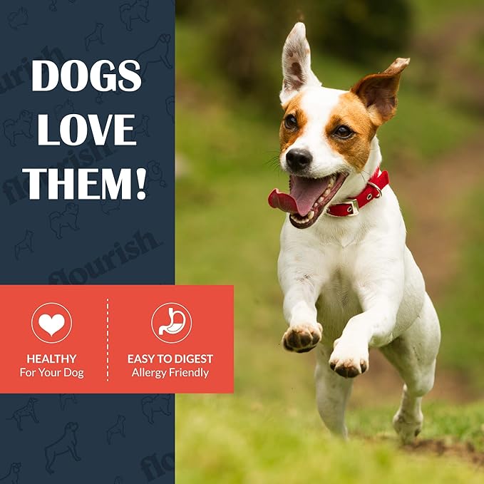 Flourish Pets Freeze Dried Raw Pet Treats for Dogs (Chicken Hearts, Small)