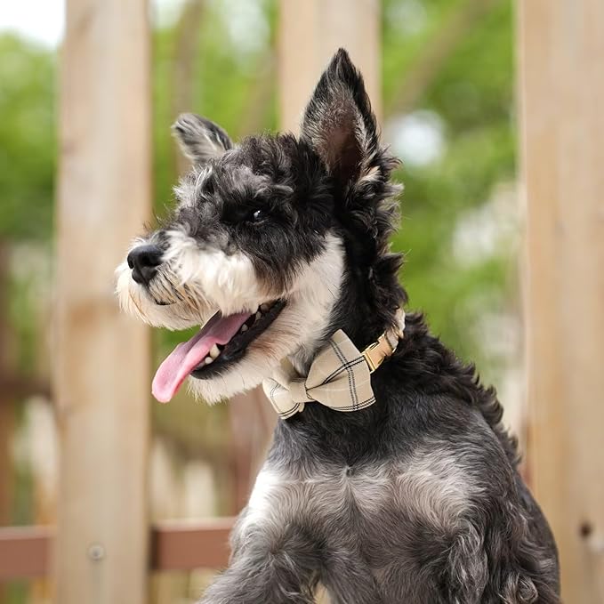 Beirui Cute Extra Small Dog Harness Collar and Leash Set with Bowtie, Soft Adjustable Plaid Puppy Harness for Small Sized Dogs Cats Walks Parties and Photoshoots(Beige,XS:Chest 13-18")