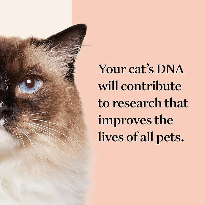 Wisdom Panel Complete: Comprehensive Cat DNA Test kit for 45 Health Genetic Health Conditions, 70+ Breeds and populations, 25+ Traits, Blood Type - Pack of 1