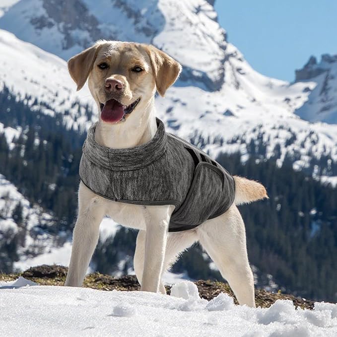 Queenmore XXS Dog Sweaters, Soft Fleece Vest Pullover Dog Jacket with Leash Hole, Warm Winter Dogs Clothes Cold Weather Doggy Dachshund Sweater for Small Dogs Cats Boy or Girl (Cationic Gray, XXS)