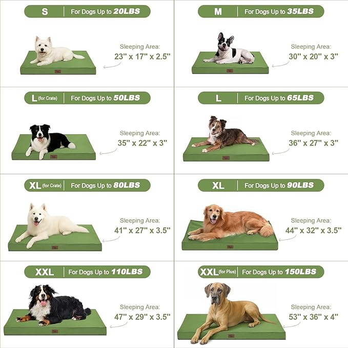 Orthopedic Dog Bed for Medium Dogs - Waterproof & Machine Washable Pet Bed with Egg Crate Foam, Removable Cover for Easy Cleaning, for Indoor & Outdoor Use, 30x20 Inch, Light Green