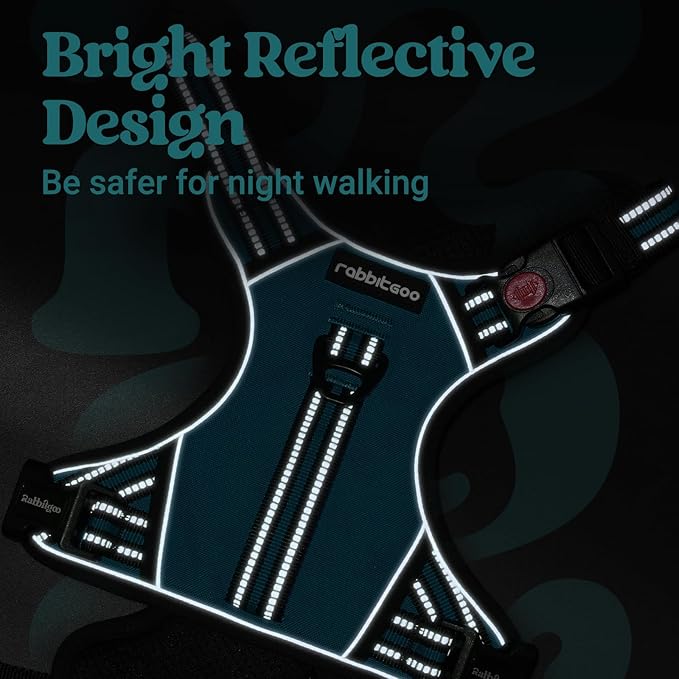 rabbitgoo Dog Harness Medium Sized, No Pull Pet Harness with Soft Padded Handle, Adjustable Reflective Vest with 3 Buckles, Easy Walking Harness with 2 Leash Clips, Green, XL